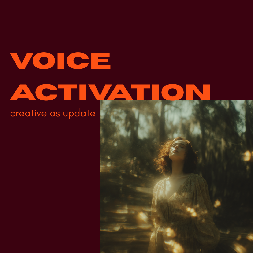 voice activation