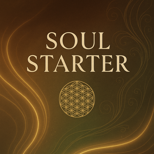 SOUL STARTER 111