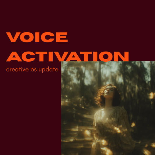 voice activation