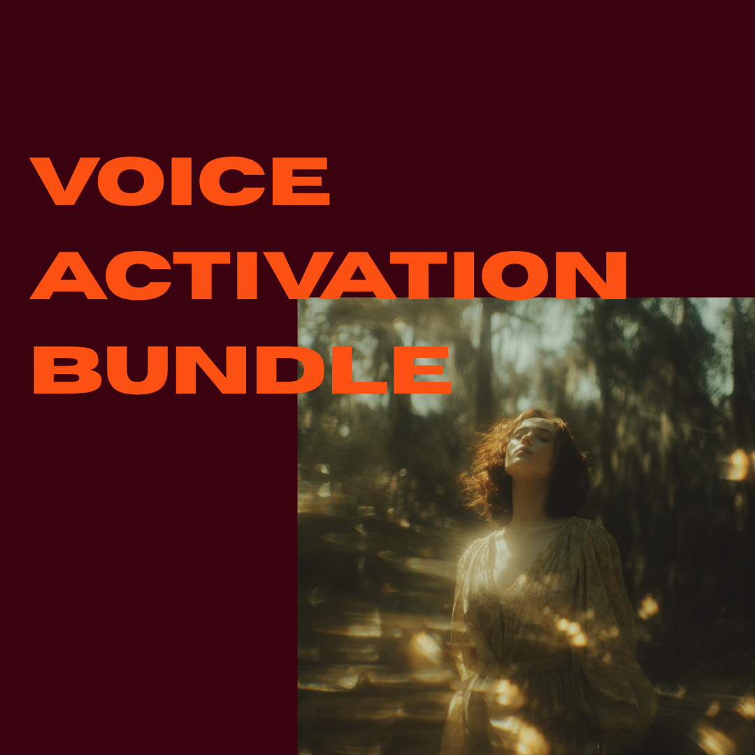 voice activation bundle